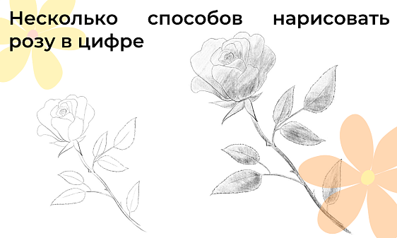 Несколько способов нарисовать розу в цифре